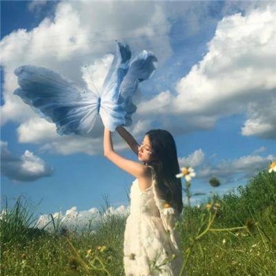 卧虎潜龙